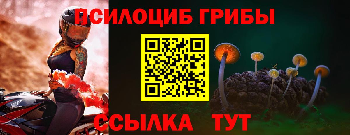 Ревда  Псилоцибиновые грибы прущие грибы  Псилоцибиновые грибы мицелий  Вход с VPN 